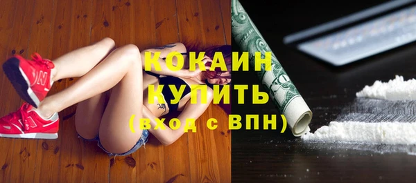 сатива Аркадак