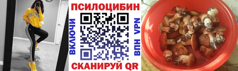 Галлюциногенные грибы Cubensis  Пласт 